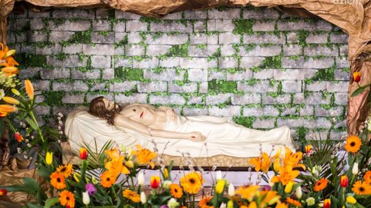 "Doświadczamy niezwykłego czasu domowego Kościoła"