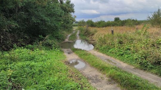 Drogi w gminie Wierzbica zostaną utwardzone