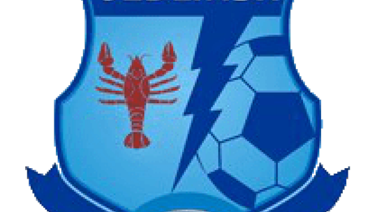 Drogowiec Jedlińsk zagra w Pineks Klasie A