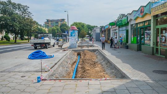 Drzewa zamiast betonowej pustyni 