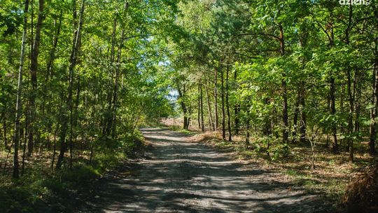 Dwa dni do wyprawy Co Za Jazda! Rzeczniów