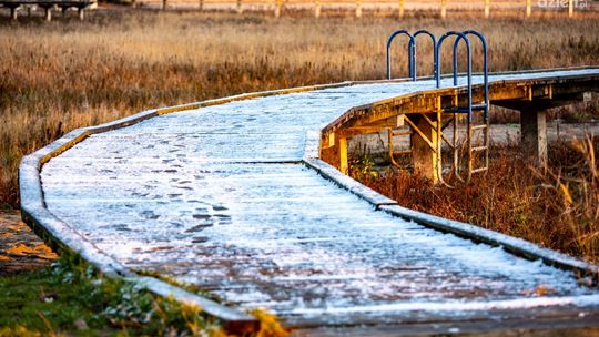 Dwie firmy chcą oczyścić zalew na Borkach