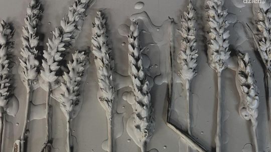 Dwie wystawy w Centrum Rzeźby