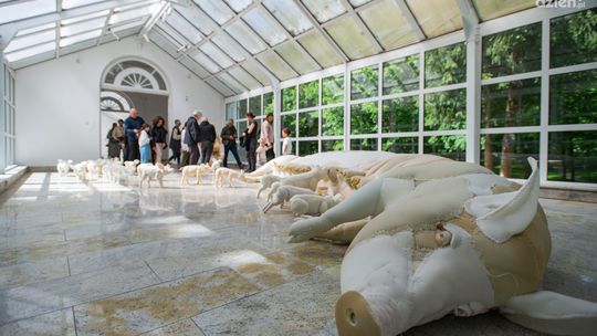 Dwie wystawy w Orońsku