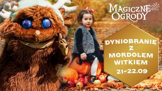 Dyniobranie z poczciwymi Mordolami