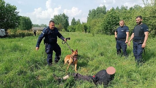 Dźgnął psa policyjnego widłami [WIDEO]