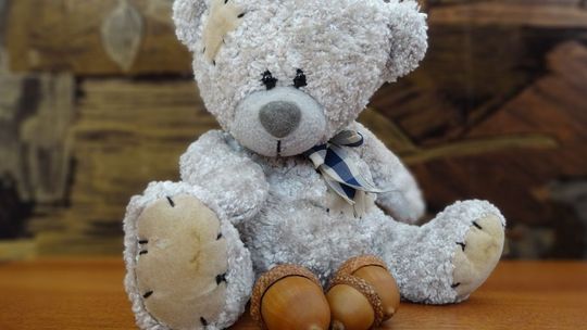 Dzieci czekają na misie