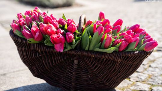 Dzień Ojca. Wszystkiego najlepszego!