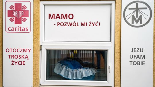 Dziewczynka w oknie życia