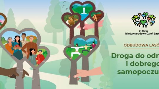 Dziś Międzynarodowy Dzień Lasów