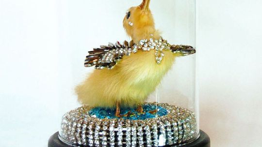 "Ecce animalia" - Centrum Rzeźby Polskiej o braciach mniejszych