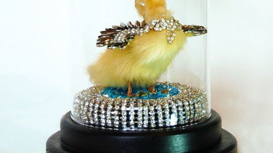 "Ecce animalia" - Centrum Rzeźby Polskiej o braciach mniejszych