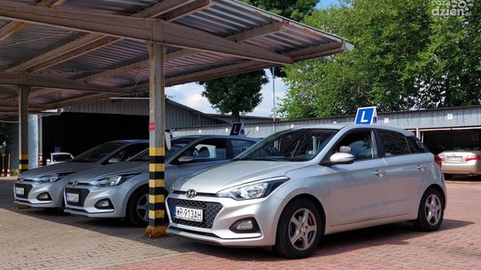 Egzamin na prawo jazdy. Na czym najczęściej oblewają kierowcy?