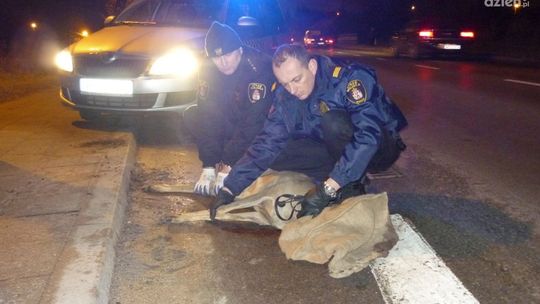 Ekopatrol działa już rok - jak było?