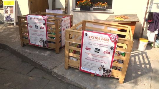 Ekstra Paka Dla Bezpańskiego Zwierzaka zakończona sukcesem