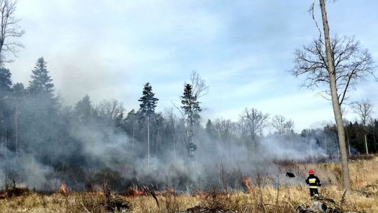 Ekstremalne zagrożenie pożarowe w naszym regionie