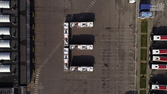 Elektra i Prądzisław