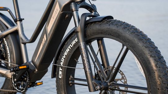 Elektryczny fatbike – sposób na pokonanie zimowego lenistwa w podróżach?