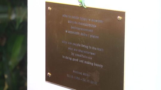 Elita według Mitana