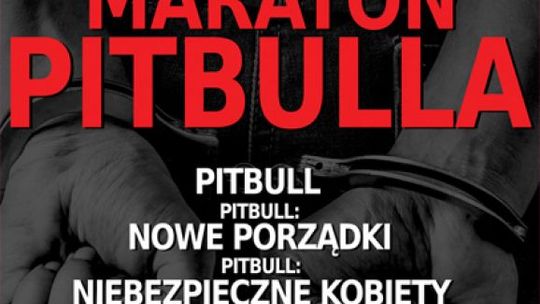 ENEMEF: Maraton Pitbulla w Multikinie