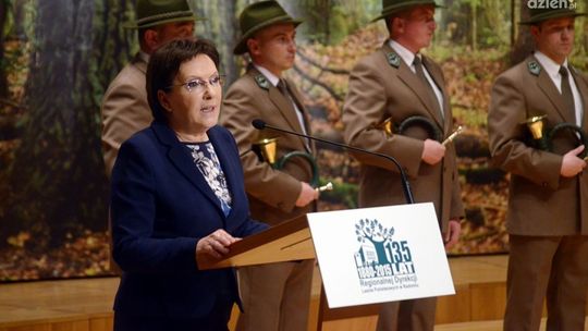 Ewa Kopacz: "Nie ma planów prywatyzacji lasów"
