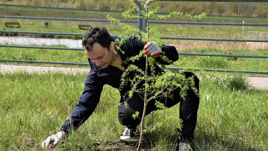 Fajdek: Chcemy, żeby Radom był znów zielonym miastem
