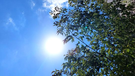 Fala upałów w Radomiu i regionie