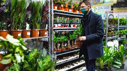 Festiwal roślin w hali MOSiR