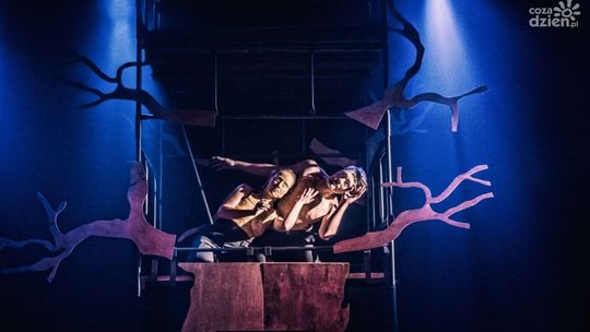 Festiwal Sztuki w Czarnolesie 