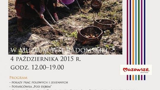 Festiwal Ziemniaka w Muzeum Wsi Radomskiej