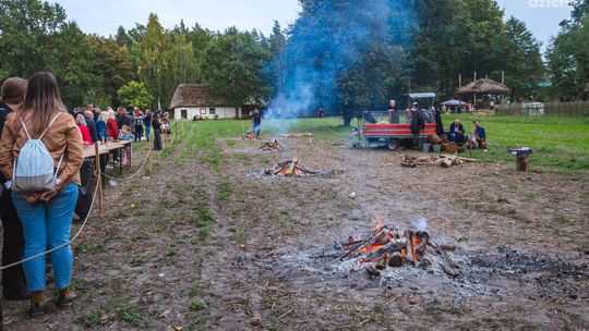 Festiwal Ziemniaka w Muzeum Wsi Radomskiej 