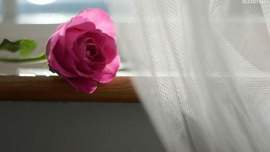 Firany do sypialni – jak wybrać idealne rozwiązanie?