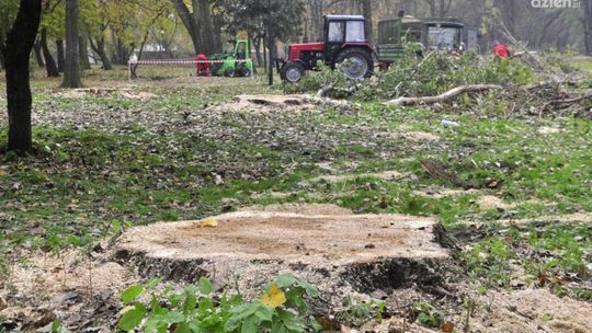Firma, która remontowała Park Kościuszki...
