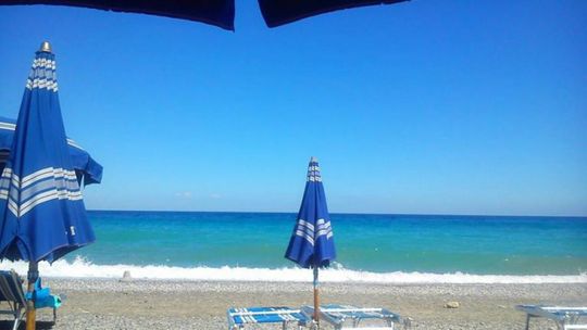 Fosa pełna kultury - Arrivederci, fosa!