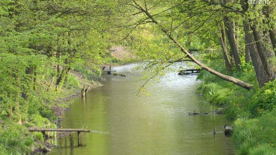 Fotograficzny spacer po Iłży