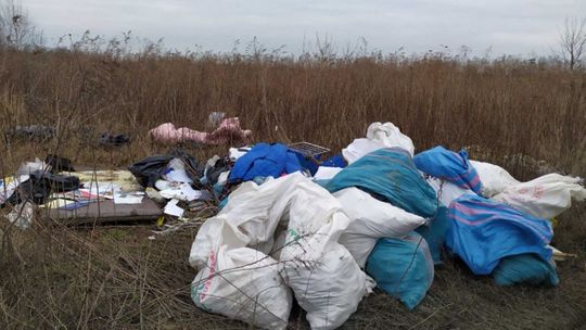Fotopułapki w lasach. Mają zapobiec zaśmiecaniu