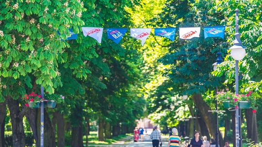 Free(Ra)dom Festival. Resursa Obywatelska