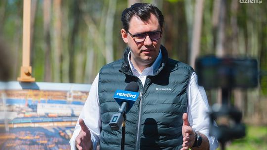 Frysztak: PiS od lat niszczy polskie lasy