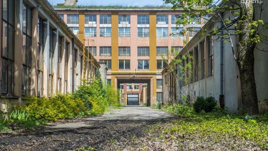 Frysztak: Program Fabryka to porażka PiS