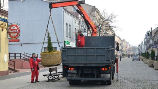 Gazony przygotowane na zimę. Tuje nie uschną?