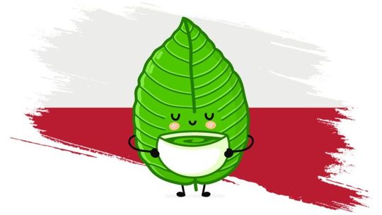 Gdzie kupić kratom w Polsce? Wybór jest jasny