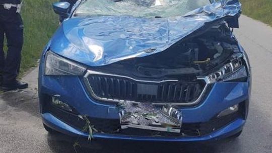 Głowaczów. Drzewo spadło na auto, ranny został 6-latek