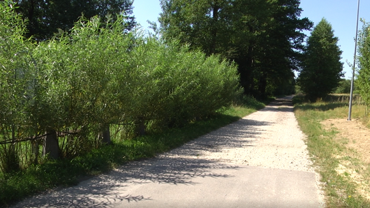 Gmina Rusinów. Pół mln zł na remont drogi