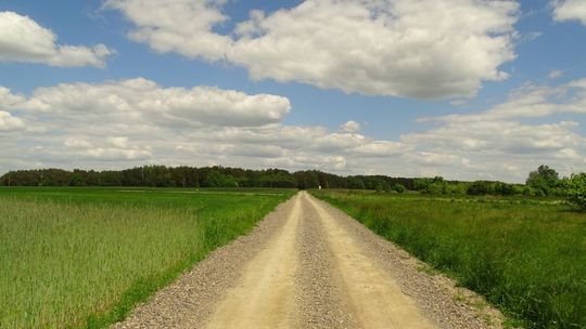 Gmina Zwoleń wkrótce rozpocznie budowę nowej drogi