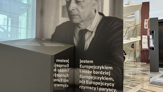 Gombrowicz na Sorbonie