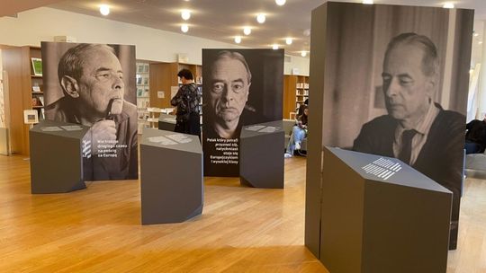 Gombrowicz w podróży: z Paryża do Radomia