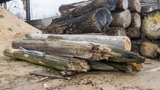 Grodzisko Piotrówka straciło znak firmowy