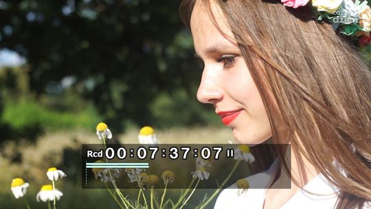 Guzowianki: Pod zielonym dębem