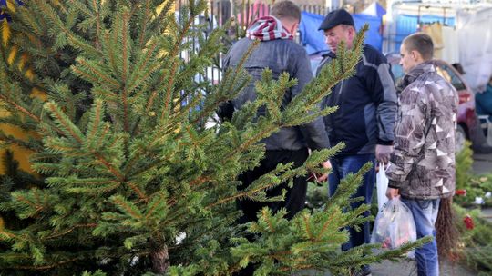 Handlowy weekend rozpoczęty. Szału nie ma