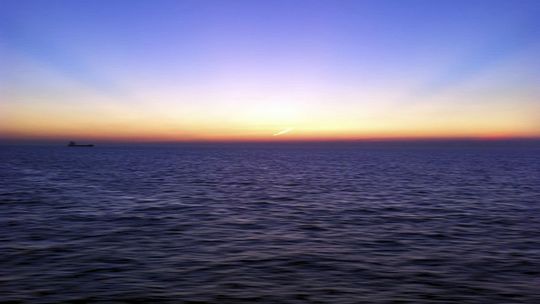 Hit lata! To trzeba usłyszeć (WIDEO)